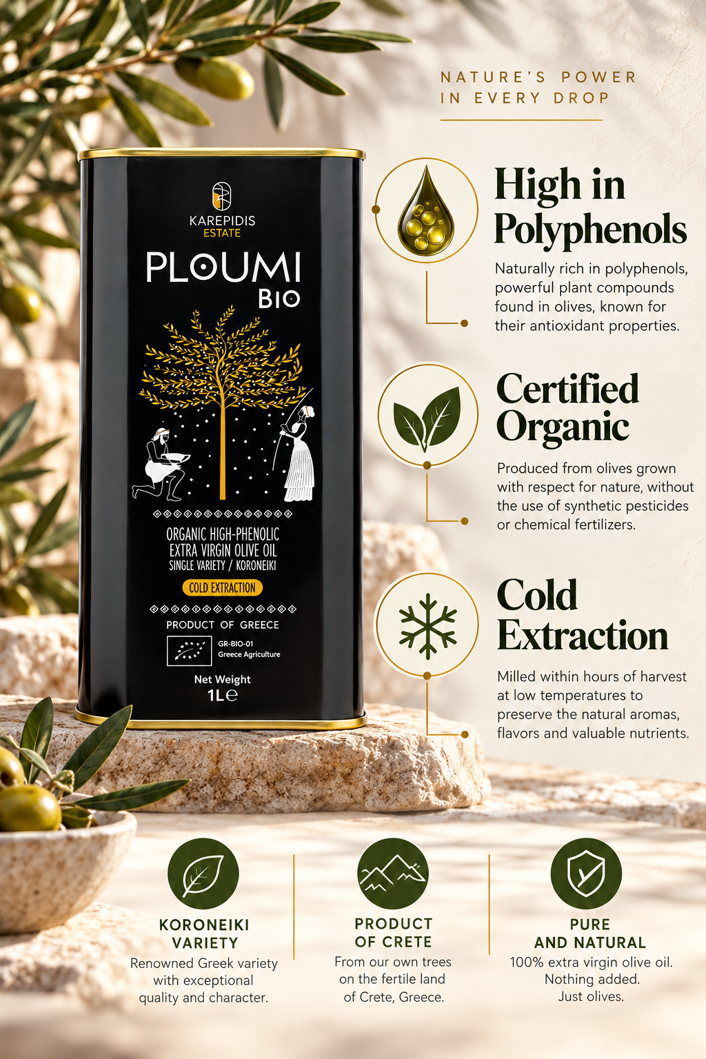 PLOUMI BIO 800+ 1L tin infographic: polyphenols, certified organic, cold extraction, Koroneiki from Crete